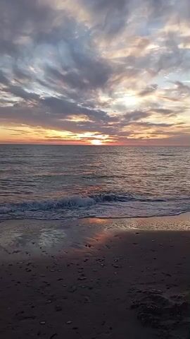 This is a vertical, medium shot of a beach at sunset. The sun is setting over the ocean, casting a warm glow on the clouds. The water is calm, with small waves lapping at the shore. The sand is dark and wet, with a few shells visible. The sky is filled with dramatic clouds in shades of orange, pink, and purple. The overall mood of the video is peaceful and serene.