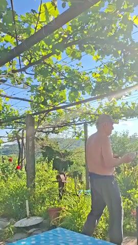 The video shows an older man in a hat and pants standing in a garden setting. He is shirtless and appears to be speaking or gesturing. The camera is positioned below a wooden structure covered in grape vines, providing partial shade. The sun is bright, creating lens flare. The garden is lush with greenery, flowers, and various objects, including a small barbecue, a wheelbarrow, and potted plants. The background reveals a view of rolling hills.