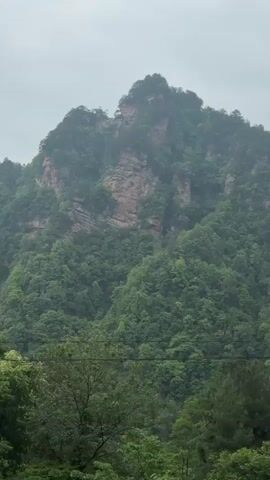 The video shows a landscape of mountains covered in lush green trees. The sky is overcast, creating a soft, diffused light. The camera pans slightly, revealing more of the mountain range and the thick vegetation. The scene gives a sense of depth and tranquility.
