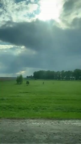 The video shows a green field under a partly cloudy sky with the sun shining through the clouds. The field is bordered by a line of trees in the distance. The view appears to be captured from a moving vehicle. The road is visible in the foreground.