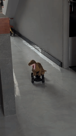 Indoor playtime activities recorded in Choeng Thale home