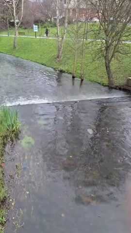 The camera focuses on a narrow, shallow river that flows through a grassy park. A small waterfall is visible, created by a short drop in the riverbed. The water is clear and flows gently. Green grass and a few trees line the banks of the river. In the background, a few people are walking along a path in the park. The sky is overcast.