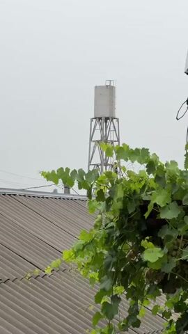 The video shows a water tower against a hazy sky. In the foreground, there is a roof covered with gray, corrugated material. A vine with green leaves is draped over the right side of the frame, partially obscuring the water tower and the roof. The water tower itself is a tall, metallic structure with a white tank at the top.