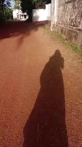 The video shows a shadow of a person walking on a dusty, reddish-brown dirt road. The sun is casting a long shadow to the right of the person, indicating the sun is behind and to the left. The road is lined with grass on the right side, and a stone wall separates the road from a patch of greenery. In the background, there are trees and a white building with a tiled roof. The overall impression is of a rural or semi-rural environment. The camera appears to be moving with the person, giving a first-person perspective. There are no other people or significant objects visible in the frame.