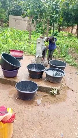 A person is operating a hand pump that is dispensing water into a series of black and purple plastic basins arranged around it on the ground. Some of the basins are already full of water. The pump itself appears to be made of metal and is attached to a stand. In the background, there are trees, green foliage, and a partially constructed building. The ground is wet and muddy, indicating recent or ongoing activity. The person operating the pump is wearing a dark blue shirt and is bent over the pump mechanism.