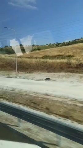 The video shows a view from inside a vehicle, looking out a window. The landscape outside is dry and hilly, with sparse vegetation. A road is visible, along with a street lamp and power lines. The sky is blue with some clouds. There are reflections on the window, obscuring some of the view. The timestamp in the audio indicates that the scene is a moving view, possibly from a car or bus traveling along a road.