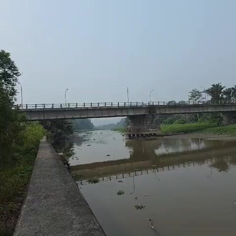 A wide, murky river flows under a concrete bridge. The water is calm and reflects the bridge and the overcast sky. Green vegetation grows on the riverbanks. There is a concrete walkway along the left bank of the river. The bridge has railings and streetlights. The sky is a uniform, pale gray.