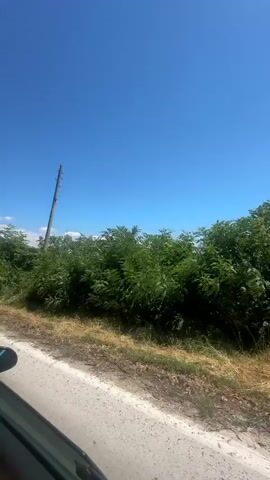 The video shows a point-of-view perspective from inside a white convertible car driving on a road. The car's roof is down. Lush green trees and vegetation line the sides of the road. The sky is clear and blue with a few scattered white clouds. In the distance, other cars are visible on the road. The interior of the car, including the dashboard and a person's head and shoulders, is visible in the foreground. The scene appears to be a scenic drive on a sunny day.