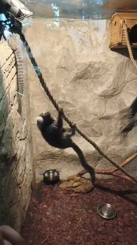 Zoo and aquarium visit in Yekaterinburg, reptiles to primates