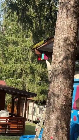The video shows a close-up view of a brightly colored birdhouse hanging from the roof of a structure, likely a cabin or shed, in a wooded area. The birdhouse is decorated with a pink and blue patterned fabric and has a small hole for birds. Behind the birdhouse, a large tree trunk is prominently visible on the right side of the frame. The background is filled with dense green foliage, suggesting a forest or heavily wooded environment. Sunlight filters through the trees, creating dappled shadows. To the left of the birdhouse, another part of the structure is visible, possibly a porch with a railing and a white chair. A trailer or RV is also parked in the background. A white object, possibly a ski, is propped up against the birdhouse, with the letter "Z" visible on it. The scene appears to be outdoors in a natural setting.