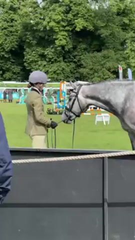 Here is a description of the video.

The video shows a gray horse standing in a field. A woman wearing a helmet, a khaki jacket, and light-colored pants is standing beside the horse holding its reins. The horse is standing near a low black fence. Behind the horse and fence, there is a field of grass, and in the distance, there are tents and trees. The sky is blue and cloudy. Another man in a tweed jacket walks into the frame from the right, placing a saddle bag behind the low black fence. The woman mounts the horse and begins riding off to the right.
