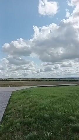 The video opens showing a wooden boardwalk stretching into a field of grass and wildflowers under a bright blue sky with scattered white clouds. A large white cloud is prominent in the center of the frame. In the distance, there is a line of trees and a hint of buildings.

As the video progresses, a man wearing an orange t-shirt, black shorts, and a beige baseball cap walks along the boardwalk away from the camera. The camera pans slightly to the right, showing more of the vast, grassy landscape. The man continues walking, and the boardwalk appears to fork in two directions ahead. The camera then shifts to focus on the expanse of the field, with the boardwalk and the man now further in the distance and to the right of the frame. The sky remains bright with fluffy clouds, and the field appears dry and windswept in places. The video ends with a wide shot of the field and sky.