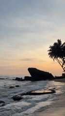 Sea turtles spotted during sunset at Talpe beach
