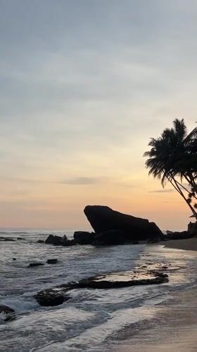 Sea turtles spotted during sunset at Talpe beach