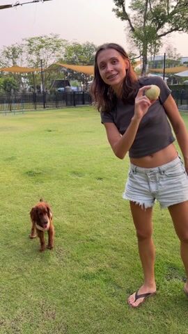 A woman in a crop top and jean shorts stands on a green lawn, holding a tennis ball up to her face and smiling. She then turns toward the camera and waves. In the background, a small brown dog stands looking at her. She moves the ball toward the dog and says, "Now throw it," and "Hello subscribers." The scene is an outdoor dog park surrounded by a black fence. There are trees and shade structures in the background.