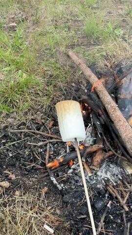 A marshmallow on a stick is being roasted over a campfire. The marshmallow is white and cylindrical. The campfire is made of logs and sticks, and there are flames and smoke. The ground around the campfire is covered in dirt, ash, and dry leaves. There is green grass and vegetation in the background.