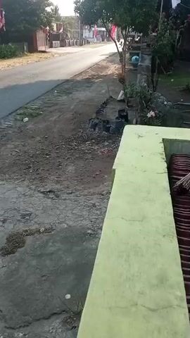 The video shows a view from a slightly elevated position looking down a dusty, unpaved path alongside a paved road. The road appears to be in a rural or suburban area, with trees and some buildings visible in the background. Several small potted plants are lined up along the edge of the path. On the right side of the frame, there is a light green concrete structure. In the background, a person on a motorcycle rides away from the camera down the paved road. The sun is shining, suggesting it is daytime.