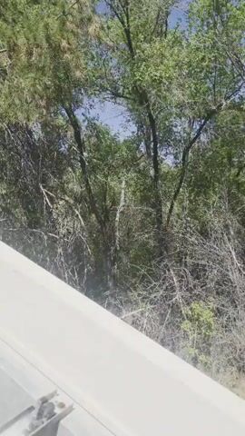 The video pans across a natural landscape with trees and vegetation. In the foreground, a white structure, possibly part of a roof or barrier, is visible with some metal components. The camera then moves to show a canal or water channel winding through the dry terrain. Further in the distance, there is a building with a light-colored roof and a wooden fence. The overall environment appears to be outdoors in a rural or natural setting.