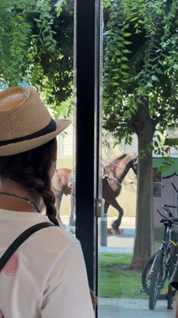 Mounted police patrol a Tel Aviv street, spotted from a window