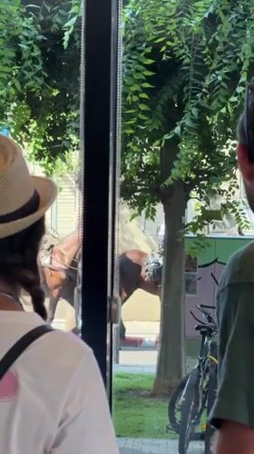 Mounted police patrol a Tel Aviv street, spotted from a window