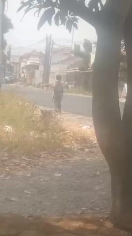 A young person stands on the side of a dusty road. Behind them, a truck loaded with sacks drives past, followed by a motorcycle. The road is lined with houses and vegetation.