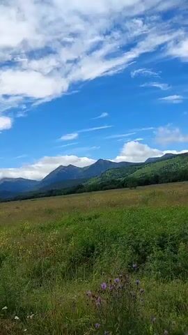 A video shows a view from the passenger seat of a vehicle driving down a gravel road. The road is lined with tall green grass and wildflowers. In the distance, there are mountains that are covered in clouds. The sky is blue with white clouds. The video is in landscape orientation and is filmed at eye level.