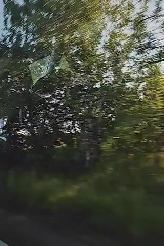 The video is shot from a moving vehicle, looking out a window at a rural landscape. Initially, a vast green field stretches under a bright blue sky, with a few trees on the left and a denser line of trees along the right side of the frame. As the video progresses, the view shifts to a closer perspective of a dense forest or wooded area, with sunlight filtering through the leaves. The trees appear vibrant green, indicating a lush environment. The movement of the vehicle creates a blur effect, especially on the trees, emphasizing the speed. The overall impression is one of passing through a natural, green environment on a bright day.