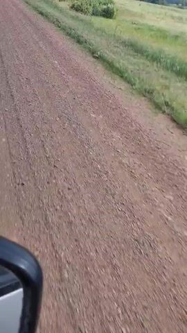 A first-person perspective video shows a dirt road with tire tracks. The road is bordered by a grassy field on the right side. Trees and bushes are visible in the distance. The sky is partly cloudy. A portion of a black object, possibly a vehicle's side mirror, is visible in the lower left corner of the frame. The camera appears to be moving forward along the road. The overall scene depicts a rural landscape on a clear day.