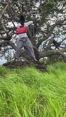 A person stands on a fallen tree trunk in front of a large tree with thick branches and green leaves, holding a red bag in their left hand and extending their right arm. The person wears a white collared shirt, a red tie, and gray pants. The background shows a cloudy sky and a distant green landscape. The video is filmed from a low angle, looking up at the person and the tree. The person appears to be posing for the camera.