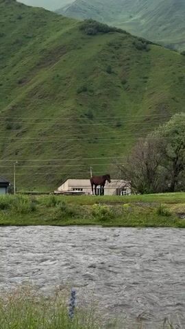 A brown horse stands in a grassy area by a river with a house behind it. A large, green, hilly landscape is in the background under a cloudy sky.