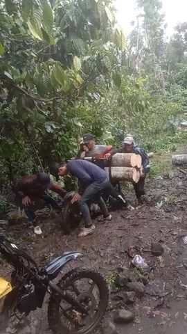 The scene shows four people maneuvering a modified motorcycle loaded with logs through a muddy, forested area. The motorcycle, resting on its kickstand in the foreground, has a dirt bike design with black and blue bodywork and off-road tires. The modified motorcycle being used to transport the logs is positioned behind the first bike.  Four men are working together to push and balance the makeshift carrier as it navigates the uneven terrain. The environment is lush, with dense foliage indicating a forest or jungle setting. The ground is covered in mud and puddles, with rocks and scattered debris adding to the ruggedness of the area. The lighting suggests an overcast day.