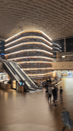 Visitor captures Starfield Library's curved bookshelves at Seoul COEX Mall