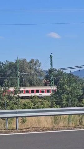 The video shows a red and white train passing by through a green wooded area on a sunny day. The train is partially obscured by trees. There are power lines and poles visible in the background. In the foreground, there is a metal guardrail and dry grass, suggesting the vantage point is from the side of a road or highway. The sky is clear and blue.
