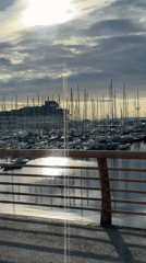 Tallinn scenes captured: harbor walk, historic architecture, sunlit forest