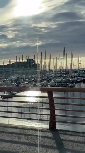Tallinn scenes captured: harbor walk, historic architecture, sunlit forest
