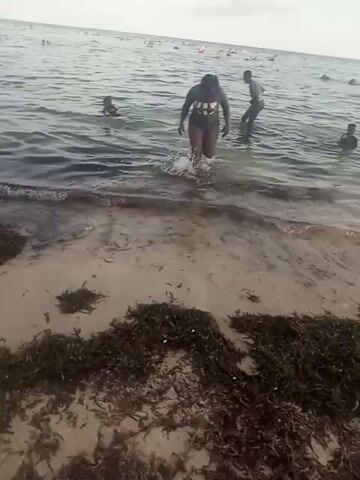 The video shows a beach scene with several people in the water. The water appears calm, and the sky is overcast.  A woman in a dark top and light bottoms walks out of the water onto the shore. The shore is covered in seaweed. Some people are further out in the water, either swimming or wading.  A young child stands on something in the water.  The overall scene appears to be a casual, relaxed beach environment.
