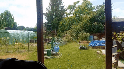 Sunny backyard scene in Karviná on a June morning