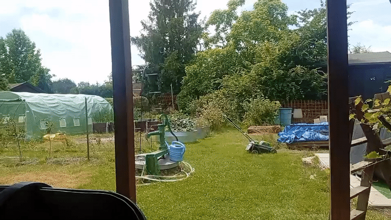 Sunny backyard scene in Karviná on a June morning