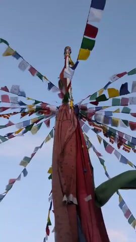 The video shows a low-angle shot of a prayer flag pole against a clear blue sky. Numerous colorful prayer flags are strung on lines radiating outwards from the top of the pole. The flags are small and rectangular, with various patterns and colors, including blue, white, red, green, and yellow. Some of the flags appear to have text or symbols on them. The pole itself is wrapped in larger, draped fabric in shades of red, pink, and green. The flags are fluttering gently in the wind. The scene appears to be outdoors, likely in a mountainous or high-altitude region given the presence of prayer flags. There are no people or other objects clearly visible in the frame. The lighting suggests it is daytime, possibly late afternoon or early morning, given the soft light.