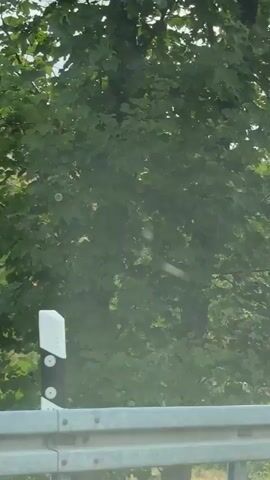 The video shows a view of a hillside with terraced vegetation. In the foreground, there are green leaves and branches of trees, suggesting the camera is positioned near or within foliage. The hillside itself is covered in a mix of green plants and dry, yellowed grass, creating a textured pattern. Some trees are scattered on the slope. The sky is visible in the upper portion of the frame, appearing overcast or hazy. The overall impression is a natural, outdoor environment, possibly viewed from a moving vehicle due to the slight blur and rapid shifts in perspective. The audio contains a man's voice speaking German, mentioning "Big Nick Sport" and "Monday."