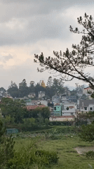 Tourist captures Buddha statue, buildings, landscapes in Đà Lạt Vietnam
