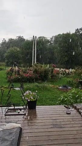 The video shows a backyard scene on a rainy day. The foreground features a wooden deck, wet from the rain, with a black pot containing pink flowers to the left. Beyond the deck is a lush green lawn dotted with various flowering bushes and trees. In the background, a line of trees forms a dense backdrop. There are some scattered objects on the deck including a metal stand with pots, an ashtray, a beer bottle, and an orange bucket. A bird feeder hangs from a pole in the middle ground. The sky is overcast, and rain is visible falling throughout the scene. There are no people visible in the video.