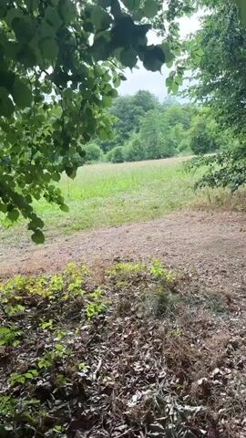 The video shows a view of a grassy field bordered by trees under a cloudy sky. The camera perspective is from a slightly elevated position looking forward and down at the field. The foreground is a path made of dirt and fallen leaves. The field itself is mostly covered in green grass with some patches of dried grass or hay. There are trees on all sides of the field, with the canopy of trees on the left side of the frame partially obscuring the view. The sky is overcast with gray clouds. The overall impression is of a natural, outdoor scene.