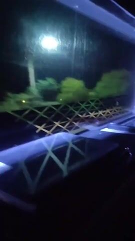 The video shows the interior of what appears to be an aquarium at night. The lighting is dim, with blue and white lights illuminating the scene. There are some green, mossy-looking objects in the background, possibly plants or decorations. In the foreground, there is a black grid-like structure, possibly a filter or a support for decorations. The water is murky, and there are reflections on the glass of the aquarium. The video is shaky and the focus is not always sharp. There are no people or animals visible in the video.