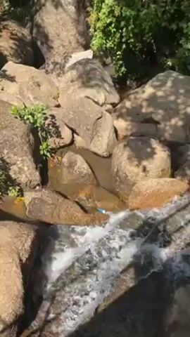 A small waterfall cascades over large rocks in a lush, green environment. The water is clear and flows rapidly, creating white foamy ripples. Sunlight filters through the trees, casting shadows across the rocks and water. A discarded blue plastic bottle rests among the rocks in the stream. The area is surrounded by greenery and trees, creating a natural and somewhat undisturbed scene.
