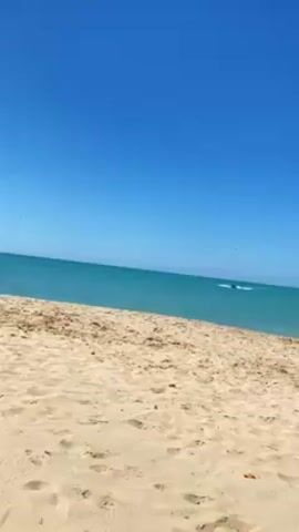 The video shows a beach on a sunny day with a bright blue sky.  The sand is light brown. The water is turquoise.  A blue boat with a single person on it is moving towards the shore in the distance. A bird is flying overhead.