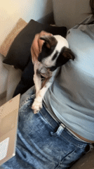 Quiet evening moments with pets and parking lot documented