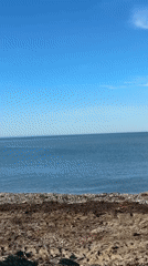 Morning beach visit documented in Lermontovo, Russia