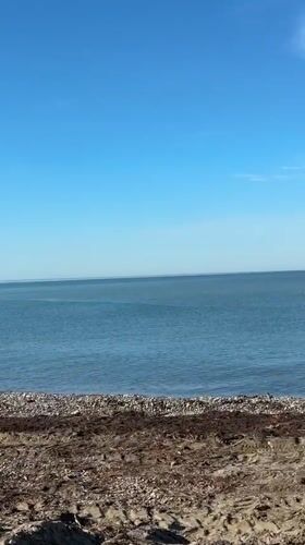 Morning beach visit documented in Lermontovo, Russia