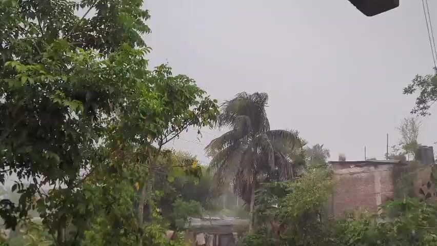 The video shows a view of a rainy day from an elevated position, looking out over a rural or suburban area. The sky is overcast and gray, indicating heavy rain. Trees and foliage are abundant, with leaves appearing wet and dripping. A narrow paved road or path is visible in the center of the frame, disappearing into the distance. There are buildings and structures scattered throughout the landscape, some appearing weathered and simple. The rain is visible as streaks or a general mist in the air, particularly in the background, suggesting significant precipitation. The overall atmosphere is subdued due to the weather conditions.